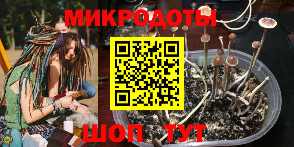 Галлюциногенные грибы Magic Shrooms  Галлюциногенные грибы Psilocybine cubensis  Елец  Вход с VPN 