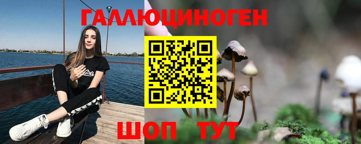 Псилоцибиновые грибы Psilocybine cubensis Елец